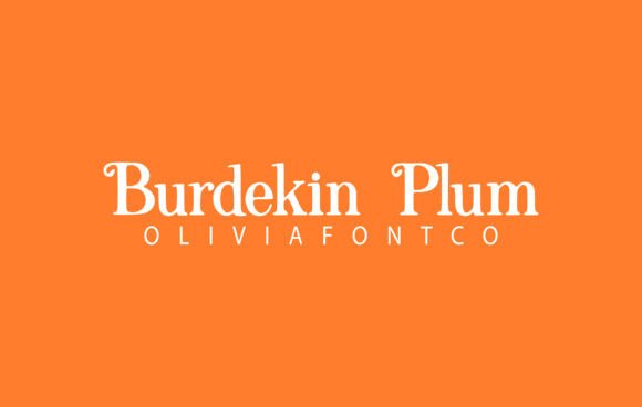 Burdekin Plum Font: Handwritten Charm for Campaign Design