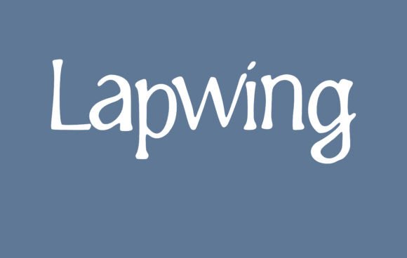 Lapwing: A Handwritten Font for Creative Campaigns