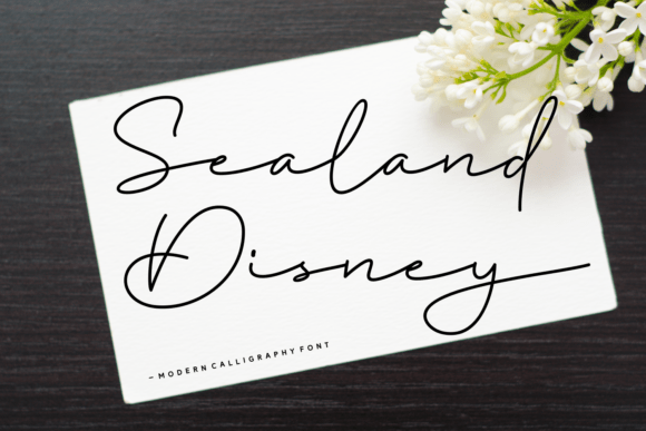 Sealand Disney Brings Elegant Flow to Editorial Design and Blog Branding