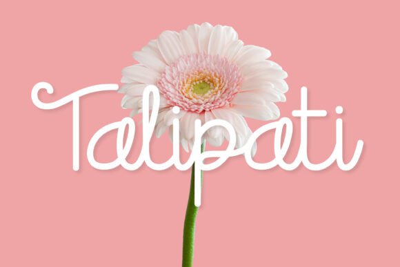 Talipati: A Playful Script Font to Transform Your Brand